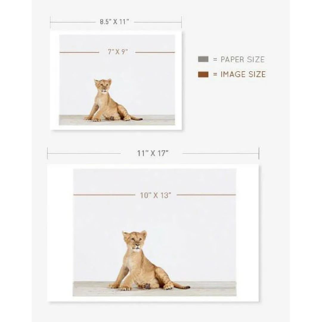 Baby Horse Little Darling Print