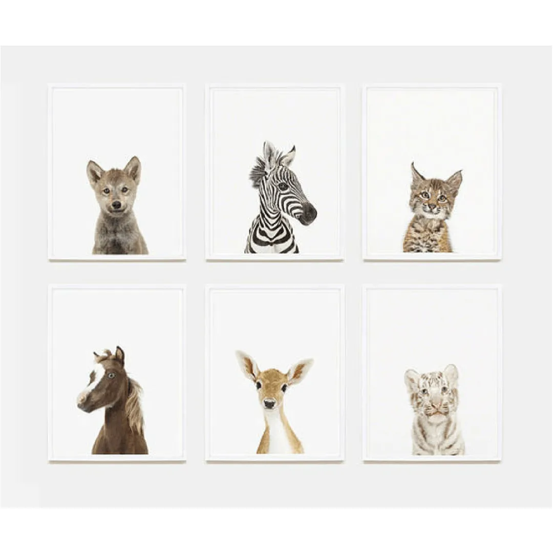 Baby Horse Little Darling Print
