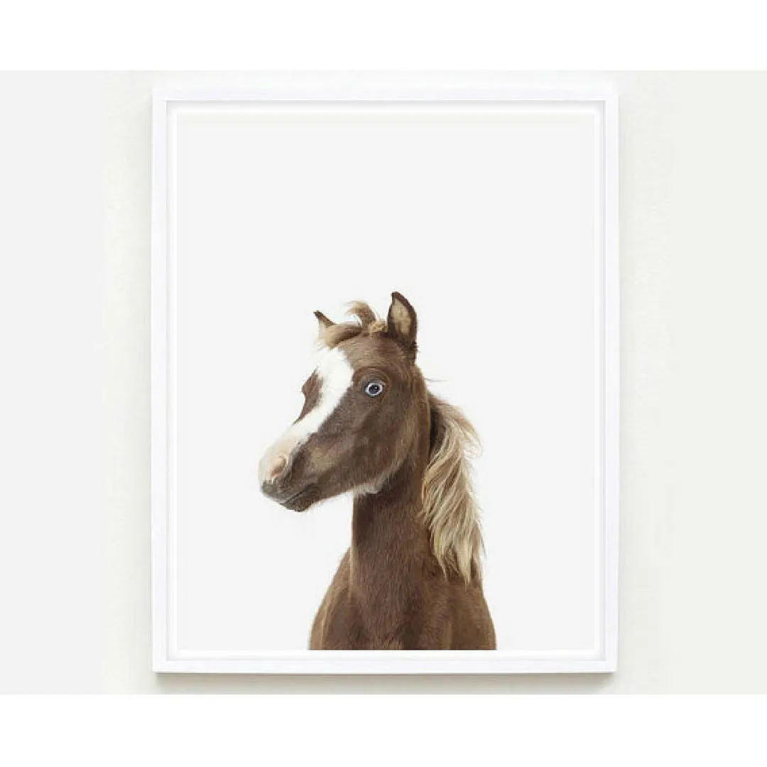 Baby Horse Little Darling Print