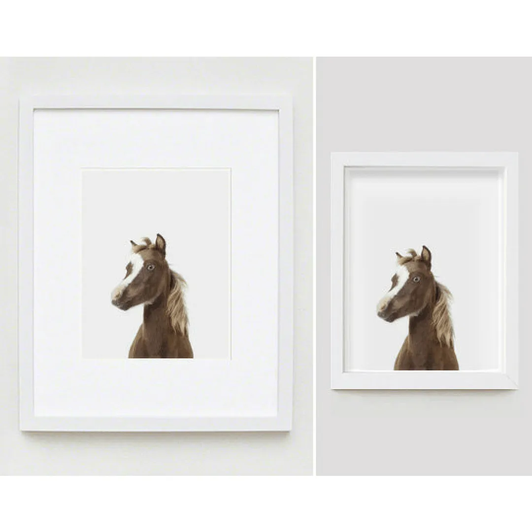 Baby Horse Little Darling Print