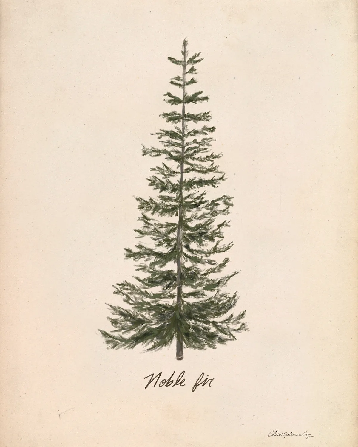 Christmas Tree Prints