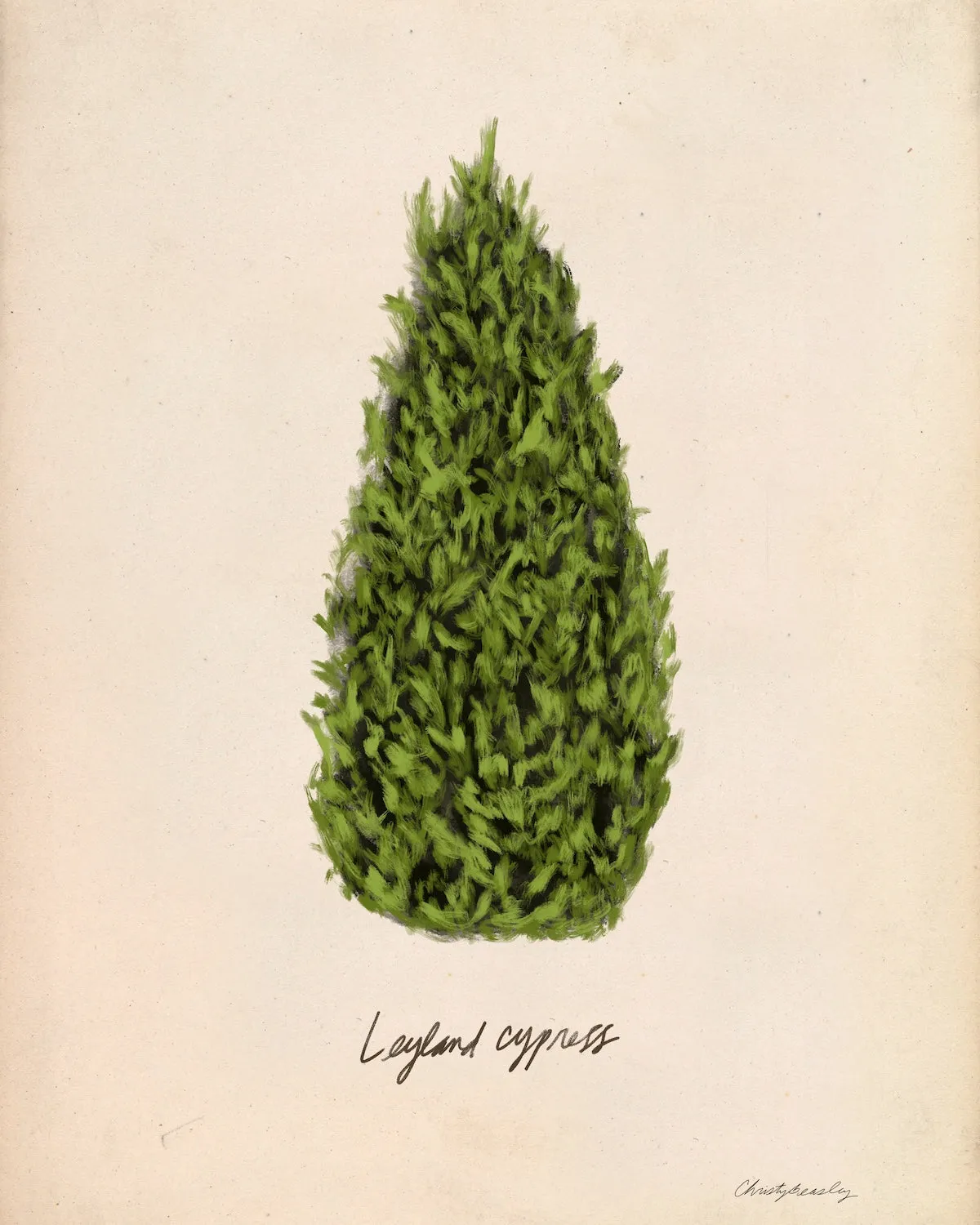 Christmas Tree Prints