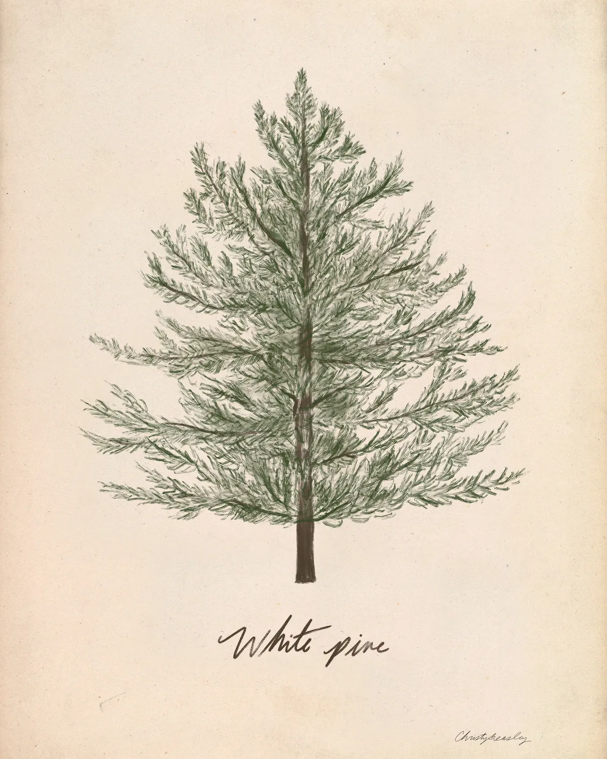 Christmas Tree Prints