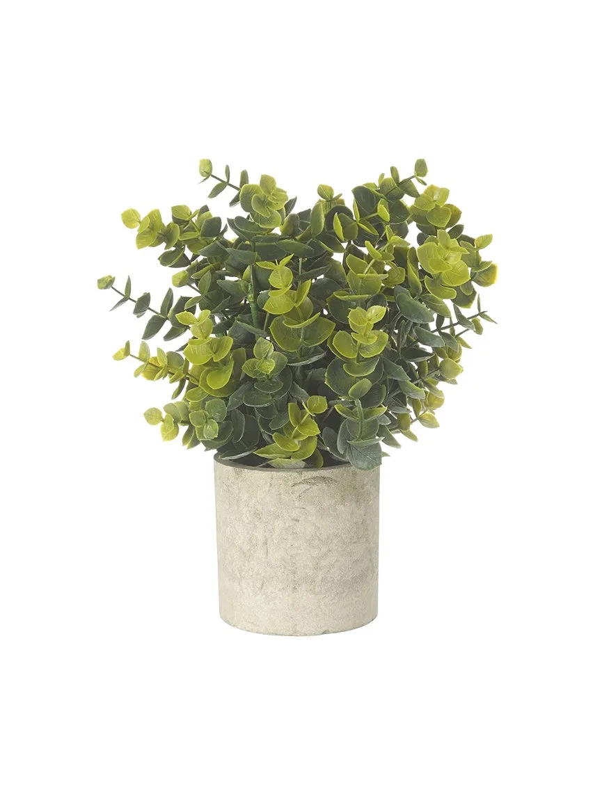 Faux Foliage - Ceramic Potted Olive Green Eucalyptus