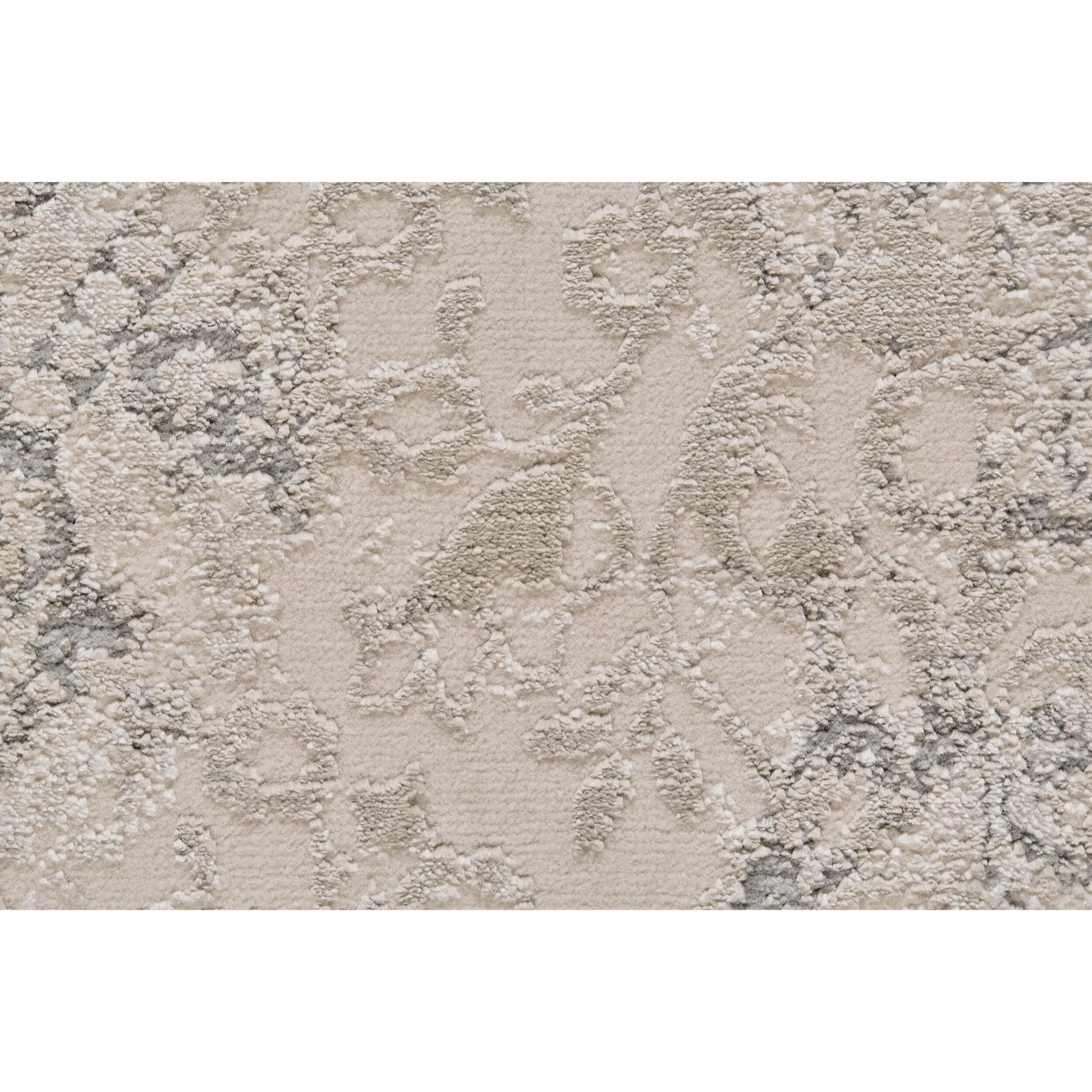 Feizy Rug Prasad 3682F, Light Gray
